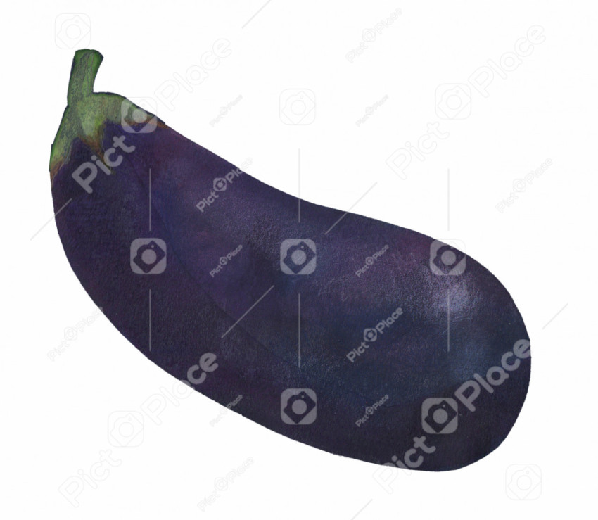 blue eggplant