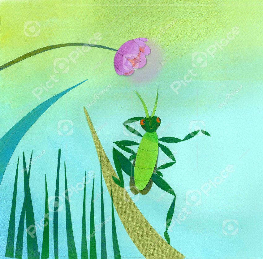green cricket on a grass blade with a pink flower