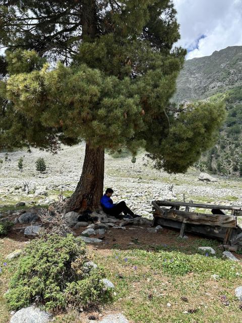 Nature in Pakistan | Fairy Meadows|