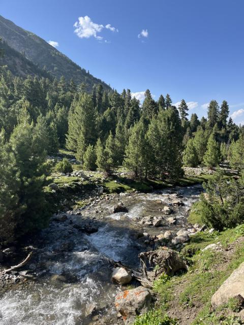 Nature in Pakistan | Fairy Meadows