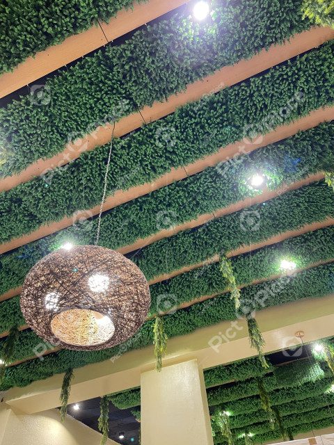Beautiful ceiling in the restaurant
