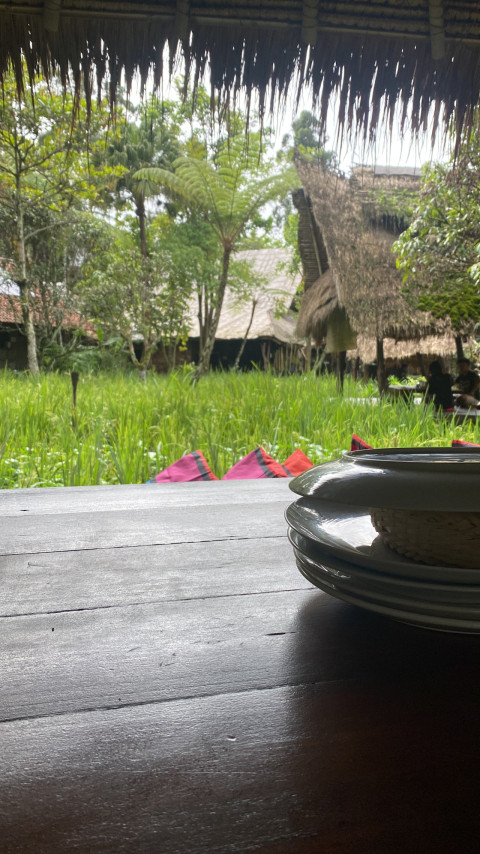 Lunch on the Field Rice