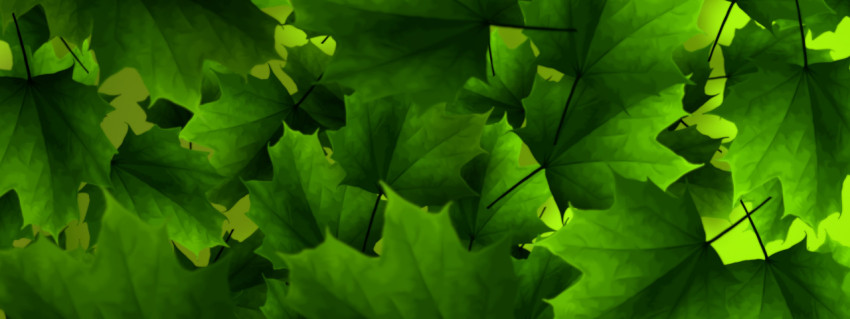 Beautiful background of painted green leaves