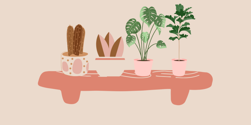 houseplants