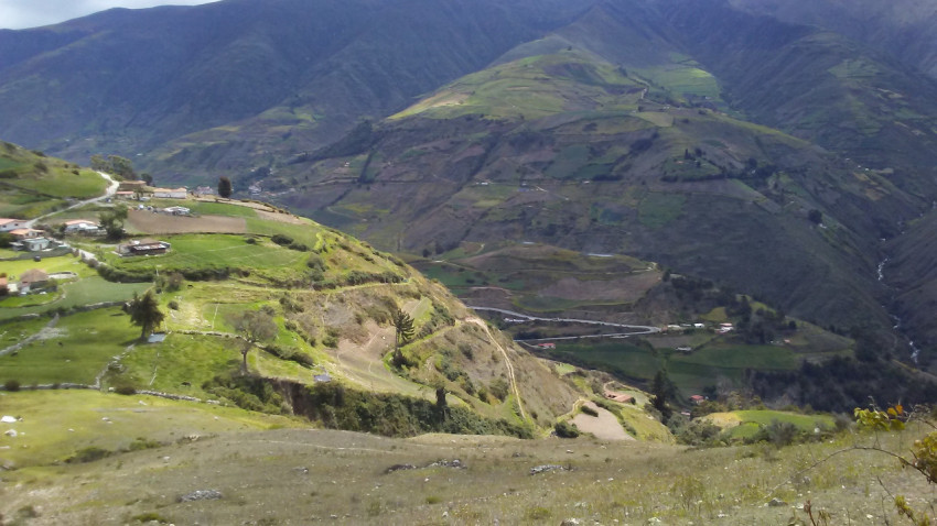 green landscape