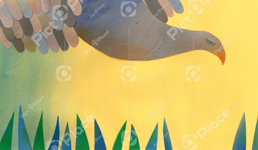 eagle flying above grass on a yellow background