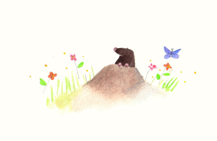 a mole in its hole among flowers