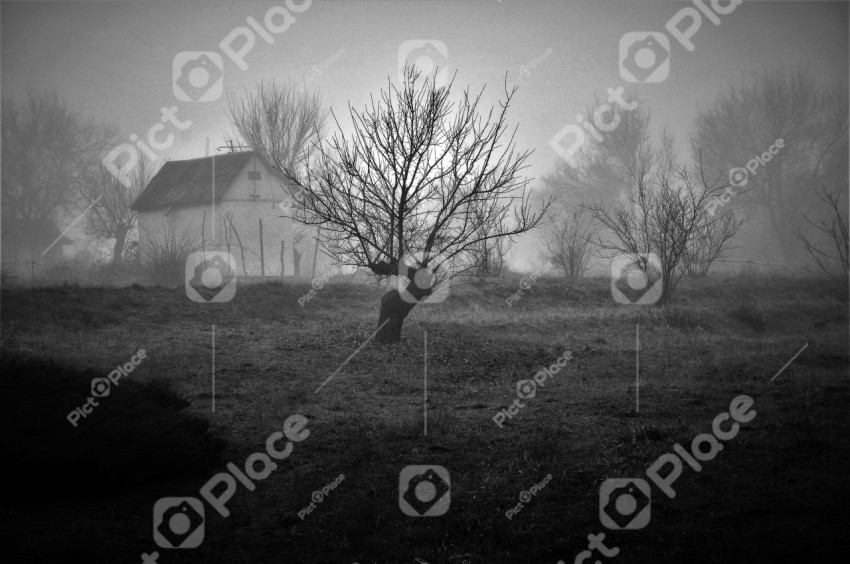 black and white photo of a house standing in the fog