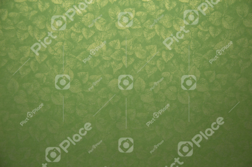 Green paper with drawn leaves arranged randomly. The pattern reflects light