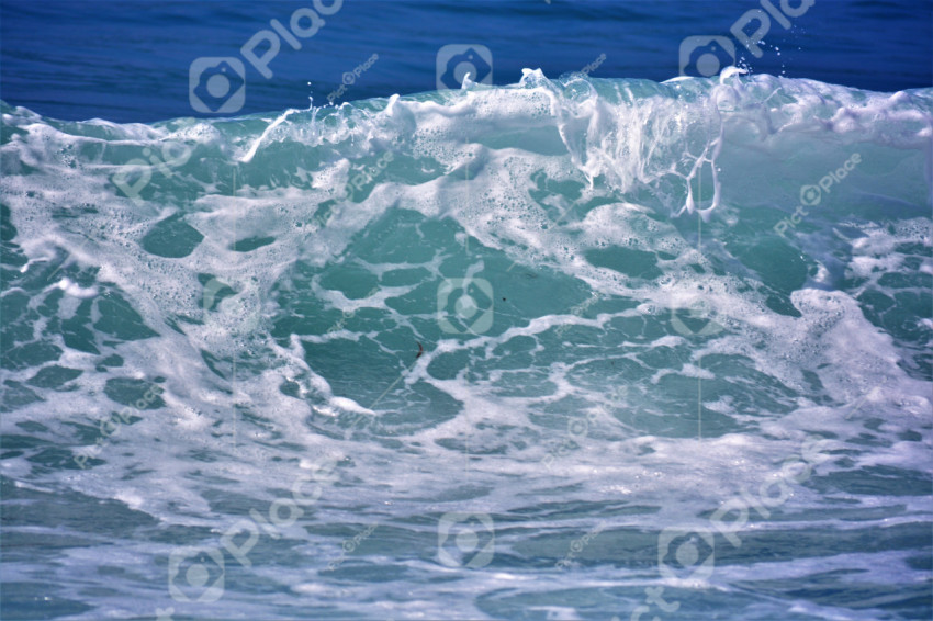 Sea foamy wave