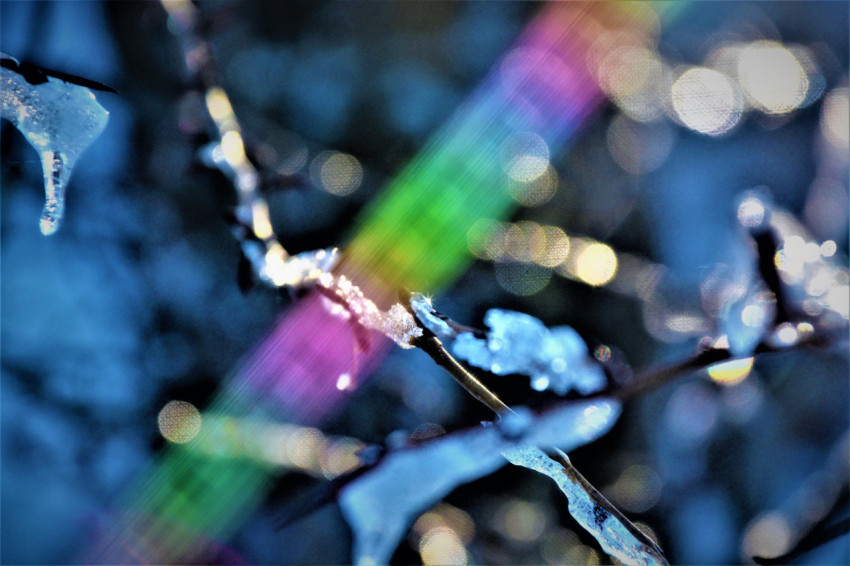 snow on a branch, light artifact