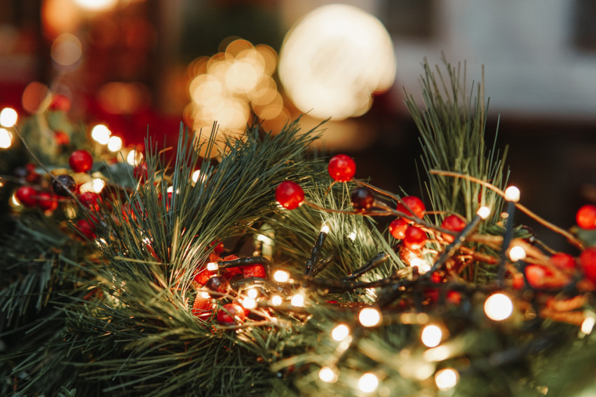 Close up of a Christmas tree with lights