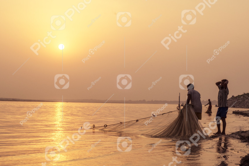 Fish Hunting - Photo #7054 - Pictplace - Find and download high