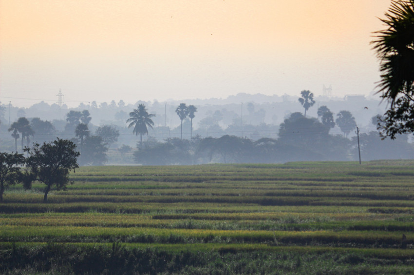 Early morning beautiful sunrise view in my village