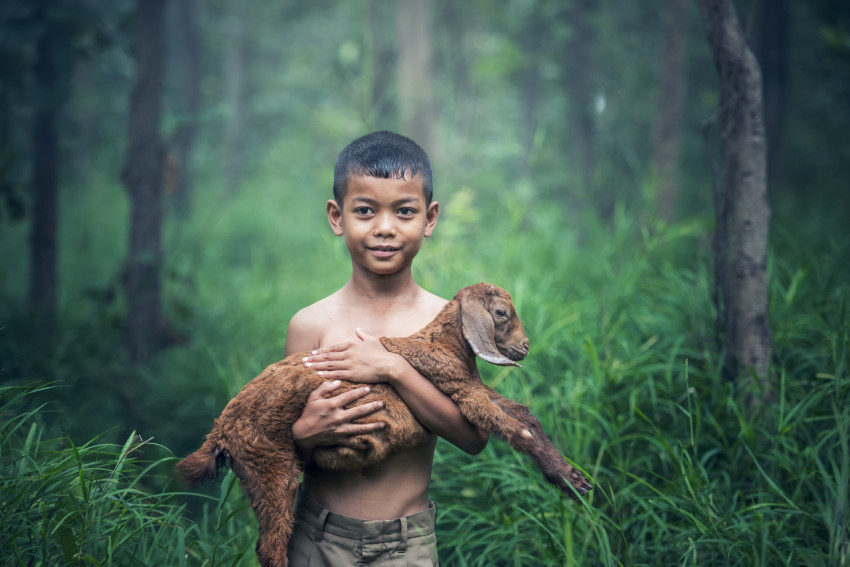 Boy holding a lamb