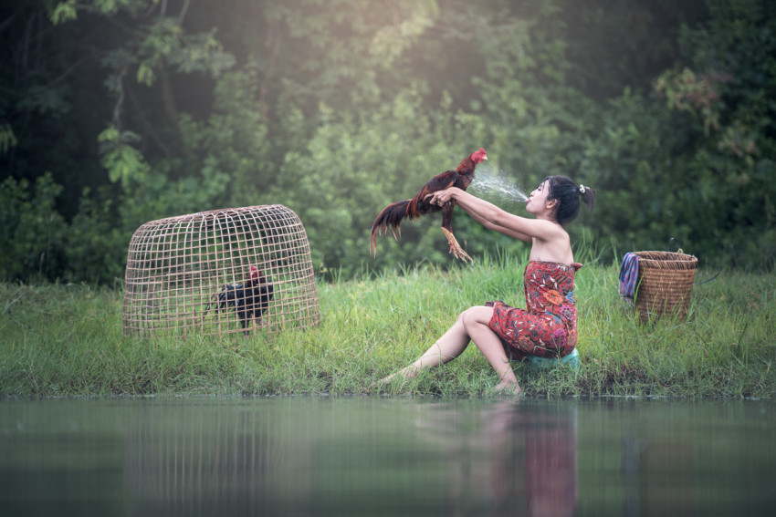 girl and chicken