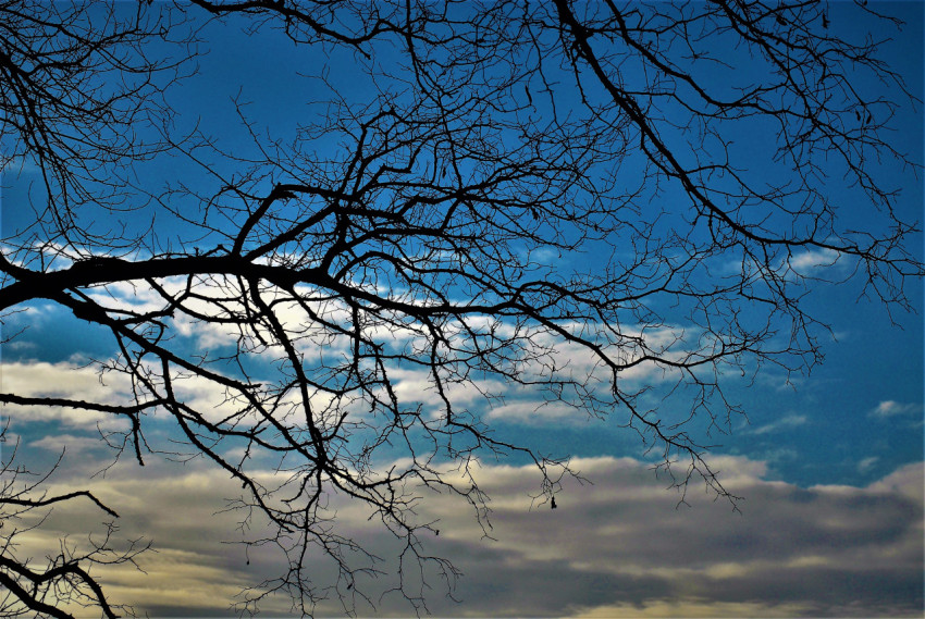 Clouds view through a branch