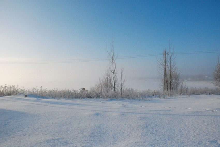 Frosty morning