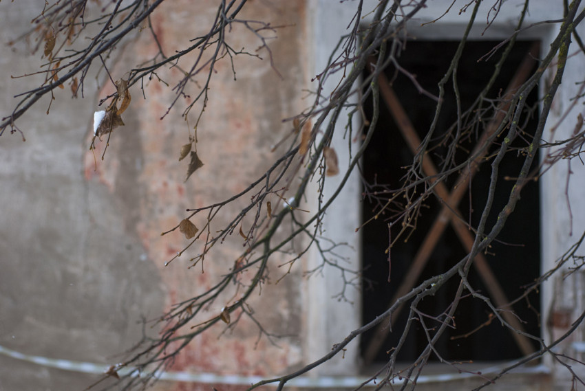 Hanging branches