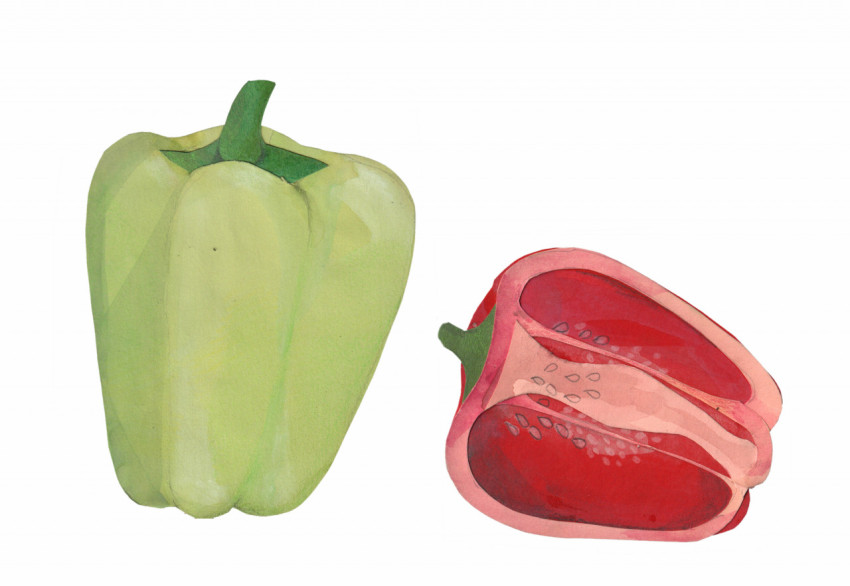 green and red bell pepper