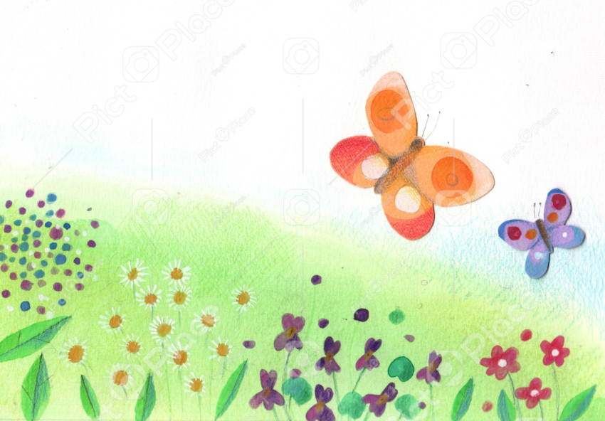 colorful butterflies on a flowery meadow