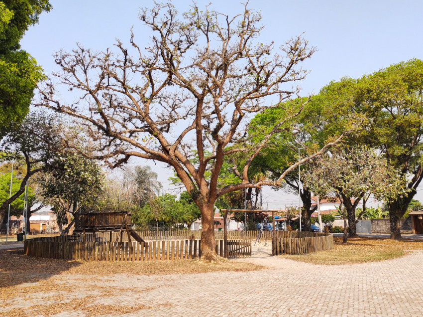 Tree-lined urban park, with children's playground, and deciduous trees and dry leaves in the foreground, on a sunny morning.