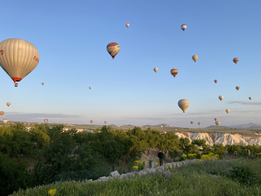 Lots of hot air balloons