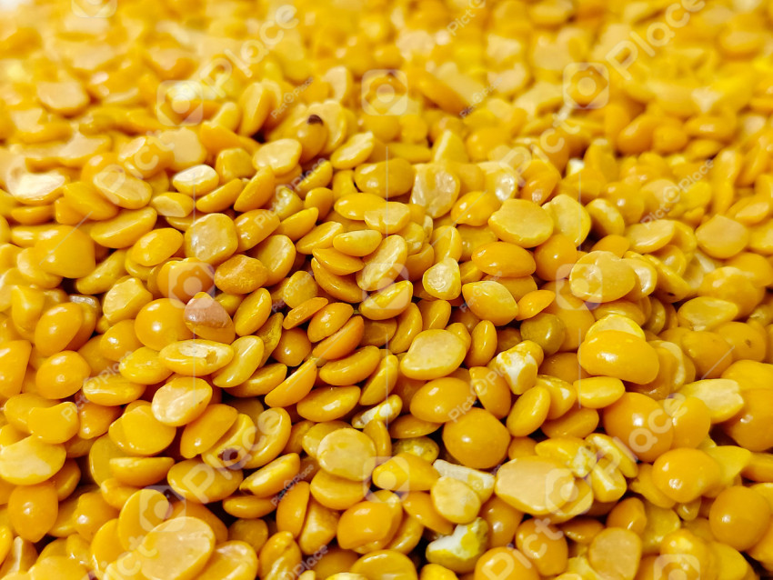 close up of a pile of yellow corn