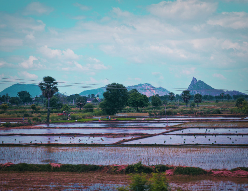 Image relate to nature of Indian farm