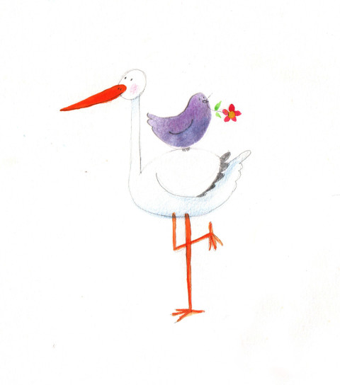 stork with a violet bird on its back