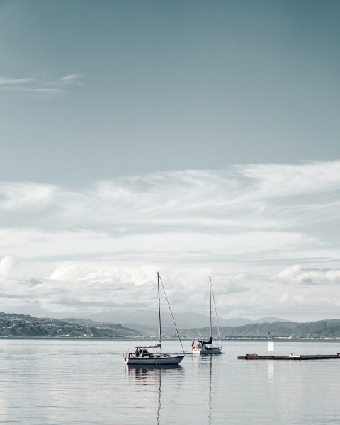 ocean, sailboats