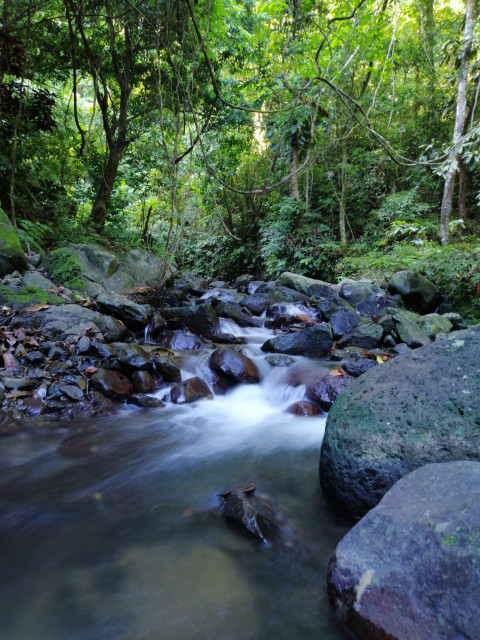 Stream with large boulders