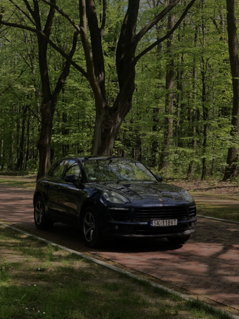 Porsche on the background of the forest