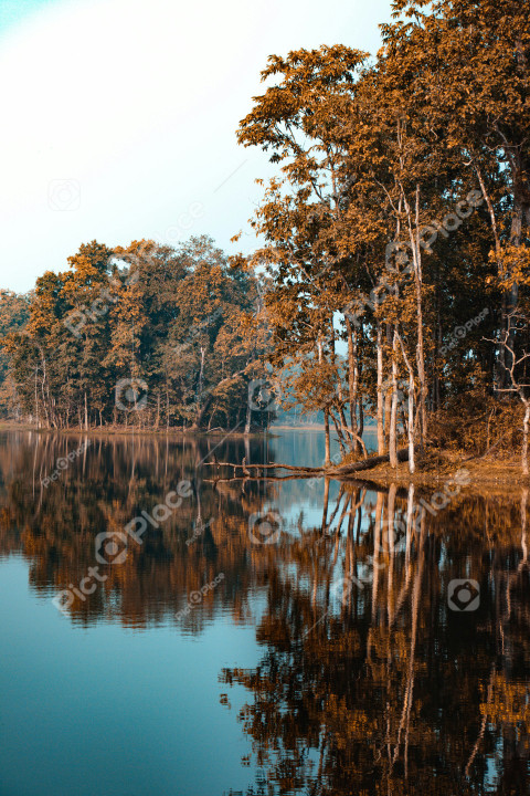 large body of water surrounded by trees