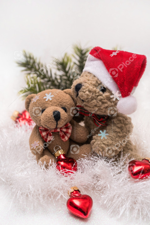 A Christmas gift consisting of two bears