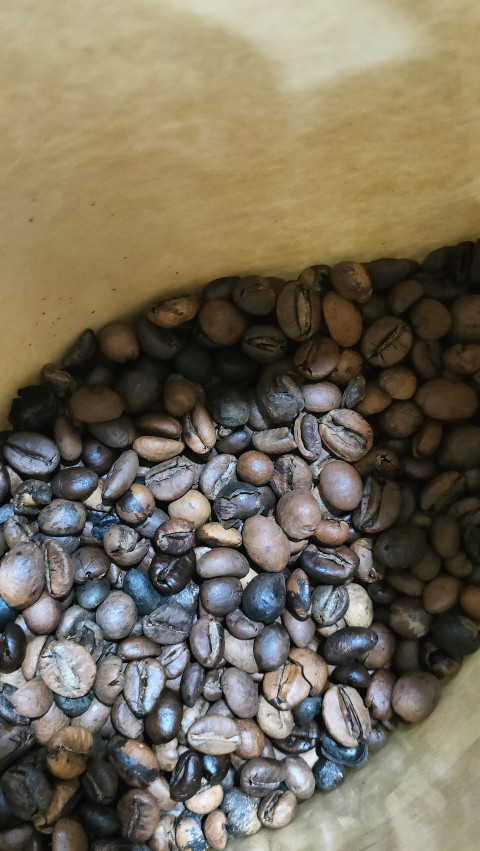 Assorted Variety of Coffee Bean