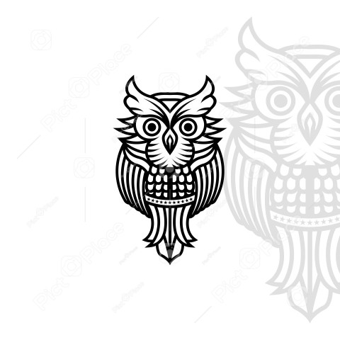 Owl line logo on white background