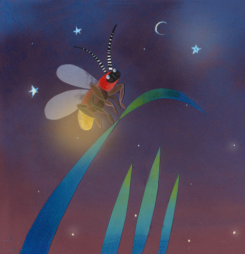 a firefly sitting on a grass blade in purple starry night