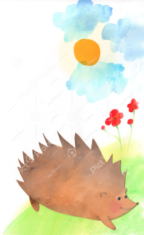 hedgehog on a flowery meadow on a sunny day